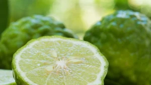 Na trawienie, nerwy i cholesterol. Bergamotkę znajdziesz ją w herbacie Earl Grey, stosuj też w kąpieli