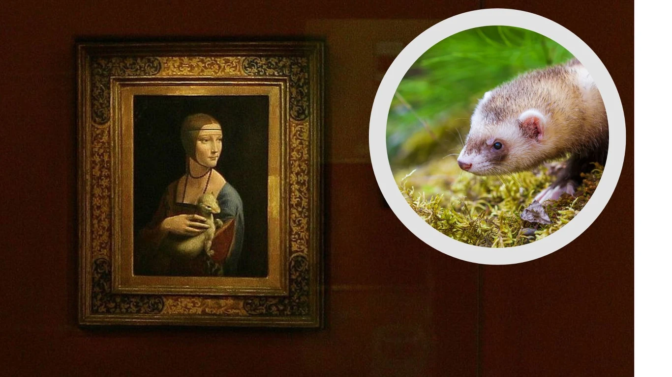 Jakie zwierzę znajduje się na obrazie Leonarda da Vinci? Jakie zwierzę znajduje się na obrazie Leonarda da Vinci?