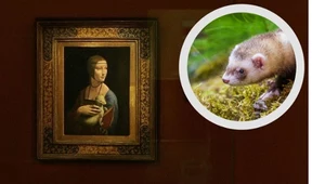 Co to za zwierzę na obrazie Leonarda da Vinci? Odpowiedź może zaskoczyć