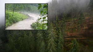 Słowackie władze informują o ofiarach śmiertelnych (zdj. ilustracyjne)