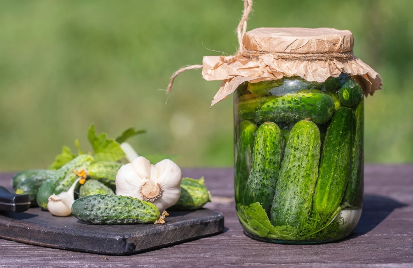 Jaką wodą zalewać ogórki, aby były jędrne i chrupiące? Jaką wodą zalewać ogórki, aby były jędrne i chrupiące?