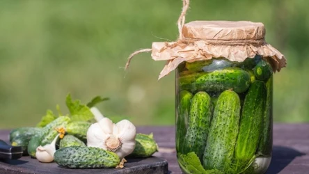 Jaką wodą zalewać ogórki, aby były jędrne i chrupiące? 