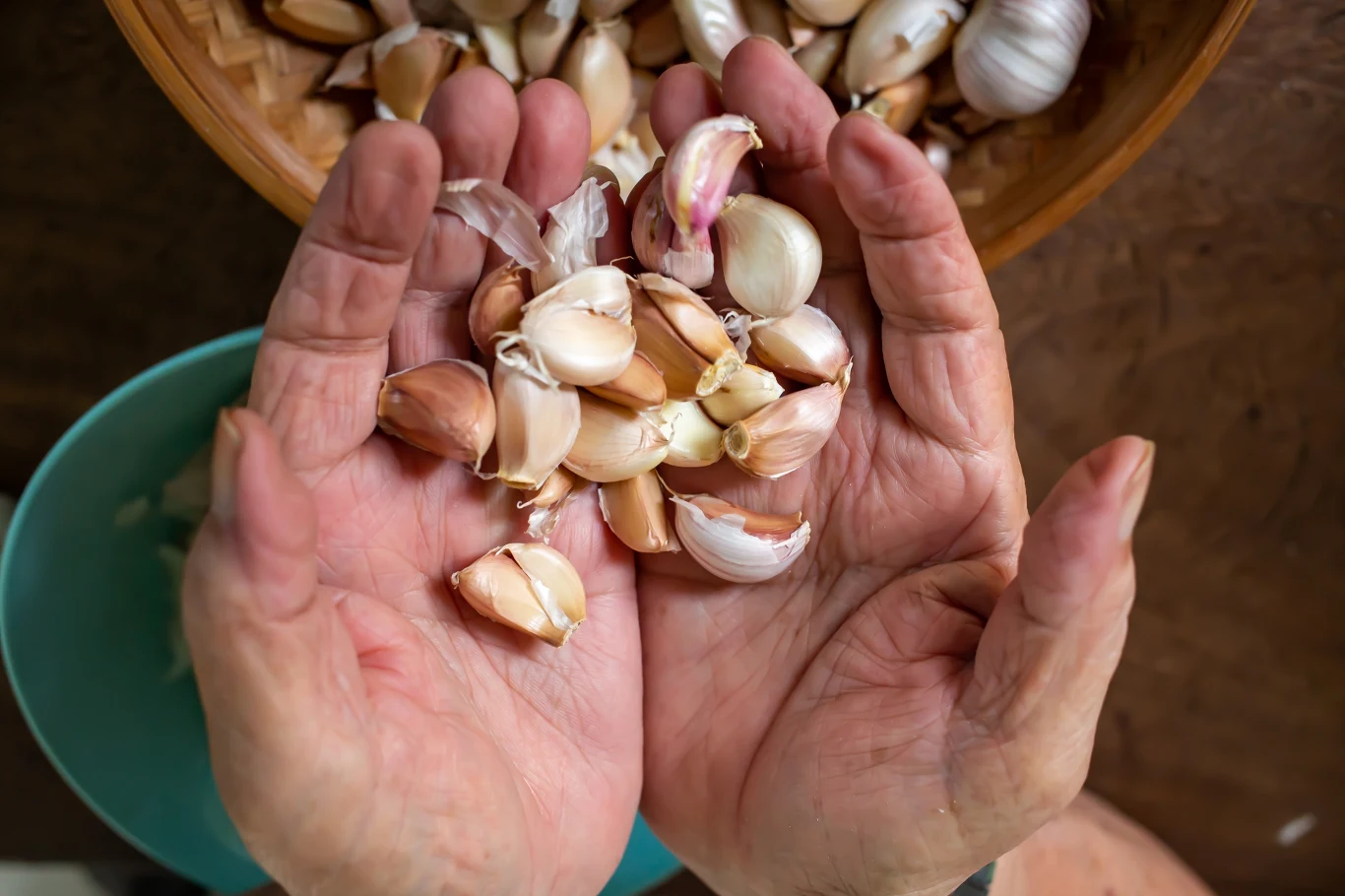 Czosnek to naturalny antybiotyk. Warto włączyć go do swojej diety i często używać w kuchni. Jak przechowywać czosnek, by dłużej zachował świeżość? Czosnek to naturalny antybiotyk. Warto włączyć go do swojej diety i często używać w kuchni. Jak przechowywać czosnek, by dłużej zachował świeżość?
