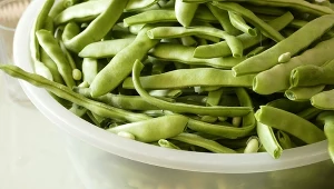 Fasolka typu mamut jest słodsza i delikatniejsza, niż klasyczna fasolka szparagowa