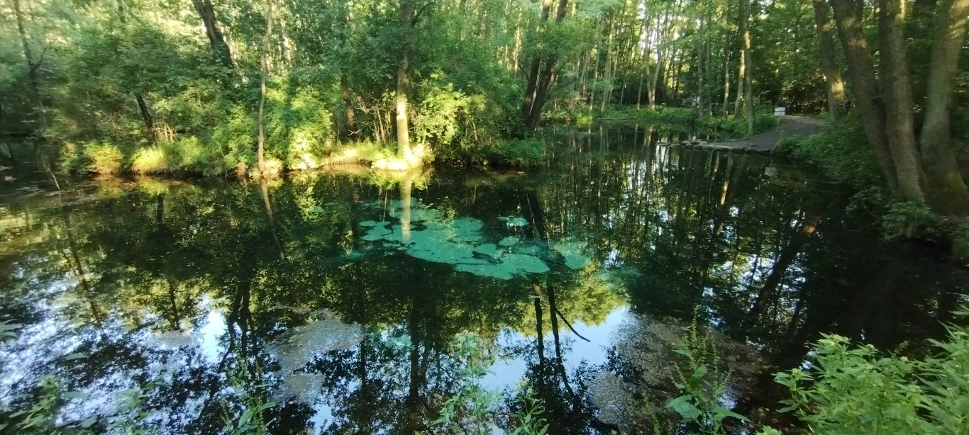 W kilku miejscach w rezerwacie znajdują się skupiska maleńkich pulsujących piaskiem gejzerów. W kilku miejscach w rezerwacie znajdują się skupiska maleńkich pulsujących piaskiem gejzerów.