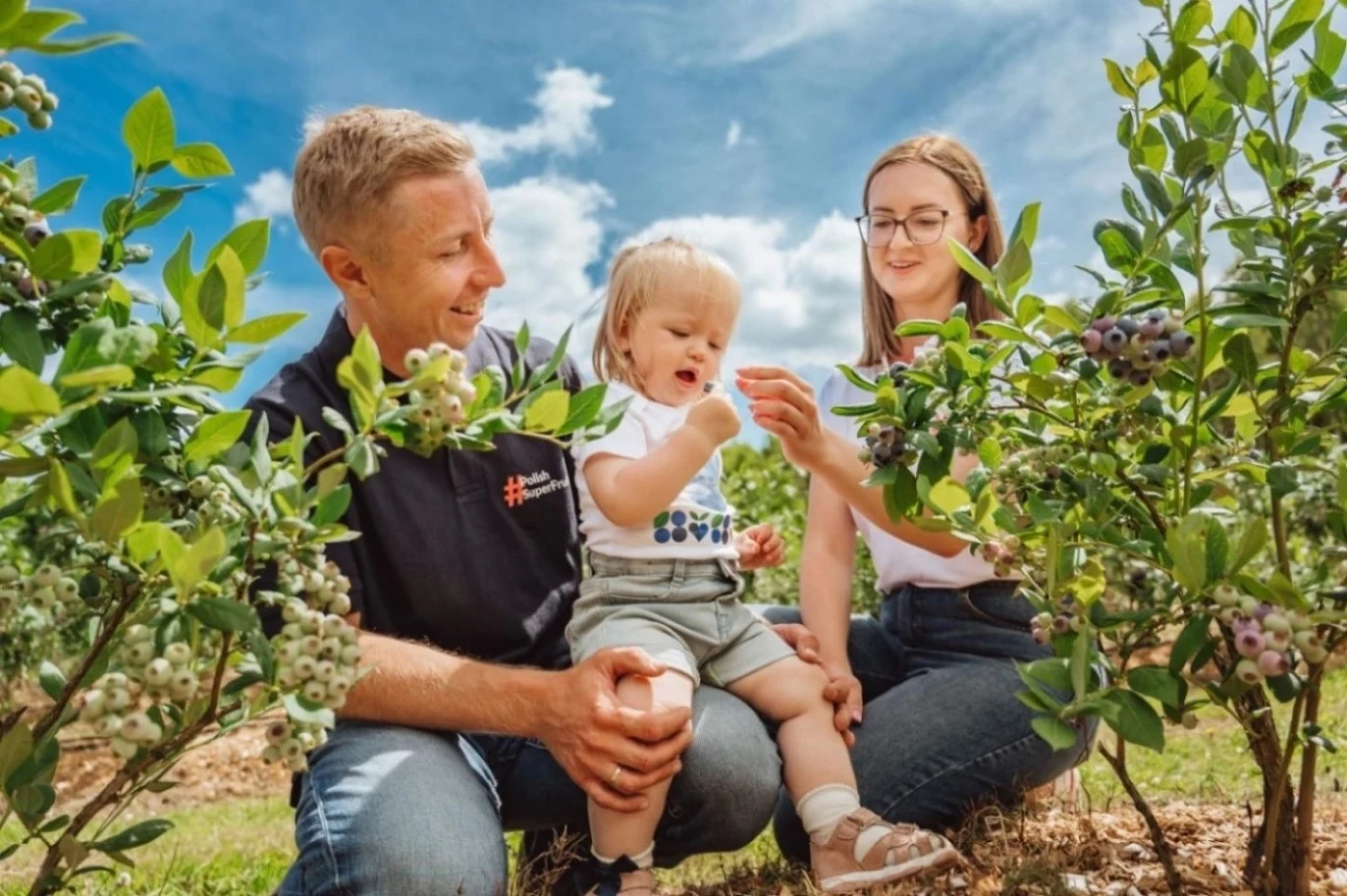 Krajowy Związek Grup Producentów Owoców i Warzyw (2)