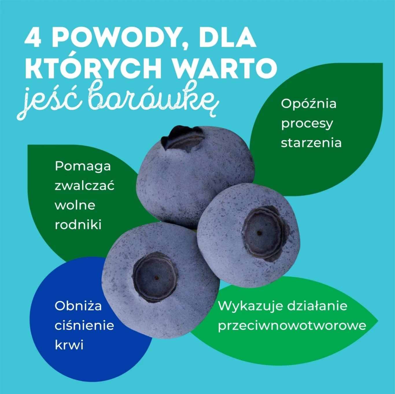 Krajowy Związek Grup Producentów Owoców i Warzyw (4)