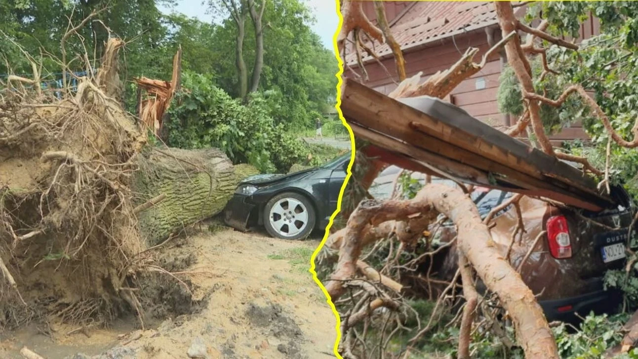 Skutki nawałnic, które przeszły przez Polskę w nocy Skutki nawałnic, które przeszły przez Polskę w nocy