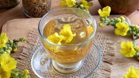 Jakie właściwości ma herbata z dziewanny?