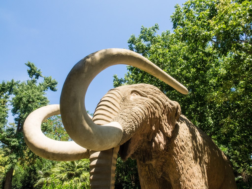 Mamuty stanowiły pożywienie pierwszych mieszkańców Europy