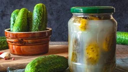 Co zrobić z białym nalotem na ogórkach? 