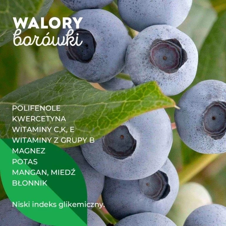 Krajowy Związek Grup Producentów Owoców i Warzyw