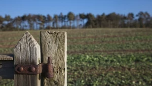 100 tys. zł dotacji na budowę płotu. Niebawem upływa termin na złożenie wniosku