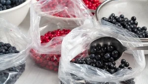 W ten sposób przygotujesz owoce do mrożenia. Nie będą się sklejać ani rozpadać
