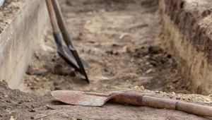 Naukowcy ujawniają tajemnicę prehistorycznych trepanacji czaszek