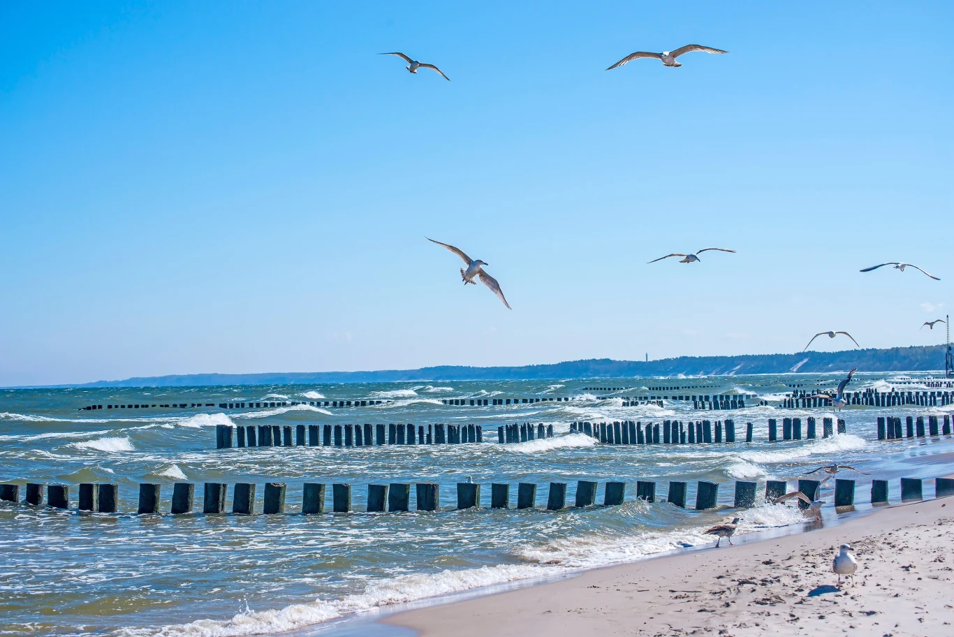 Ostroga brzegowa, znana też jako falochron, wydaje się bezpiecznym miejscem. Lepiej jej jednak unikać. 
