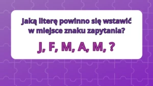 Test IQ: Tylko garstka osób jest w stanie rozwiązać to zadanie w określonym czasie