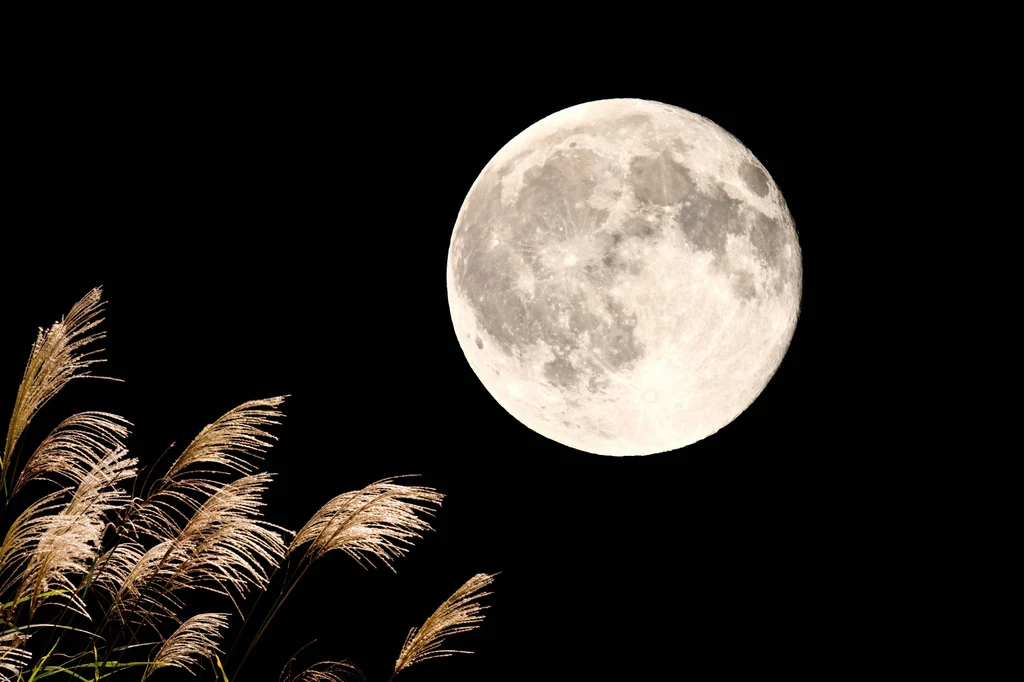 Na Księżycu znaleziono miejsce, które potencjalnie może stać się bazą dla astronautów.