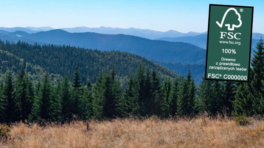 Organizacja Forest Stewardship Council działa w 89 krajach świata i wyznacza standardy dla odpowiedzialnej gospodarki leśnej.