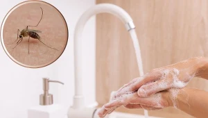 Komary gryzą cię bardziej niż innych? Winne mogą być kosmetyki o tym zapachu