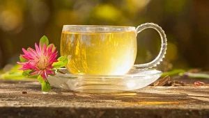 Z pysznogłówki można przygotować napar, który działa uspokajająco, usprawnia trawienie i działa przeciwzapalnie