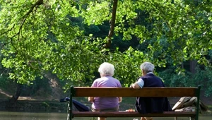 ZUS wypłaca seniorom po 6600 zł. Nie wymagają ani dnia pracy