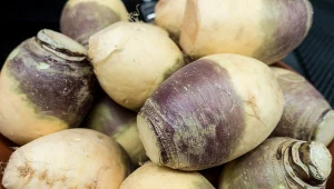 Kojarzy się z biedą, a to skarbnica zdrowia. Polacy znów po nią sięgają 