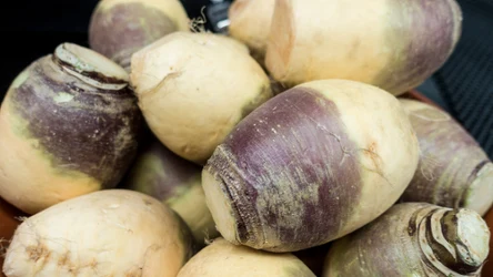 To warzywo lata temu było stałym elementem dań. Dzisiaj odeszło w zapomnienie, choć jest bardo zdrowe