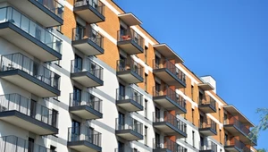 Lipiec rekordowy, sierpień rozczarował. Zaskakujące dane o kredytach