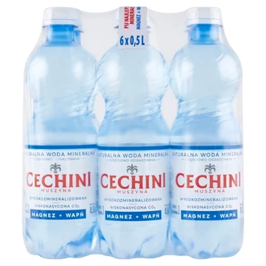 Cechini Muszyna Naturalna woda mineralna wysokozmineralizowana niskonasycona CO₂ 6 x 0,5 l - 0