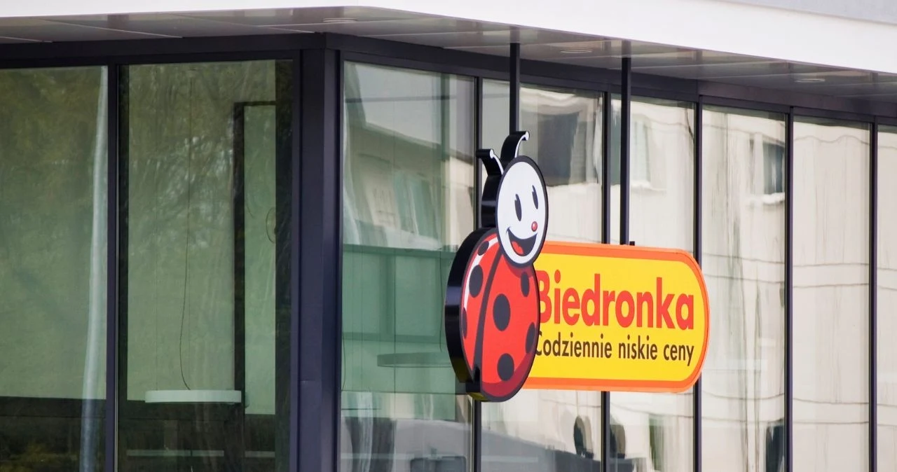 Biedronka Biedronka