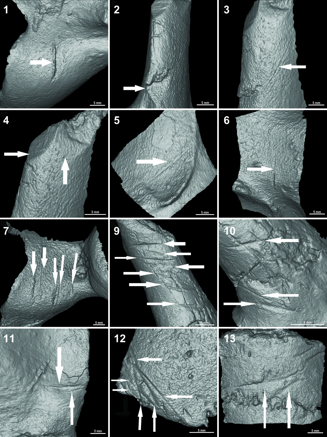 Dziwne Wzory Na Ko ciach Mog Wywr ci Histori Ludzko ci Z Ca ego 