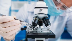 Odkryto bakterię odporną na podróż kosmiczną. Przełom dla misji międzyplanetarnych