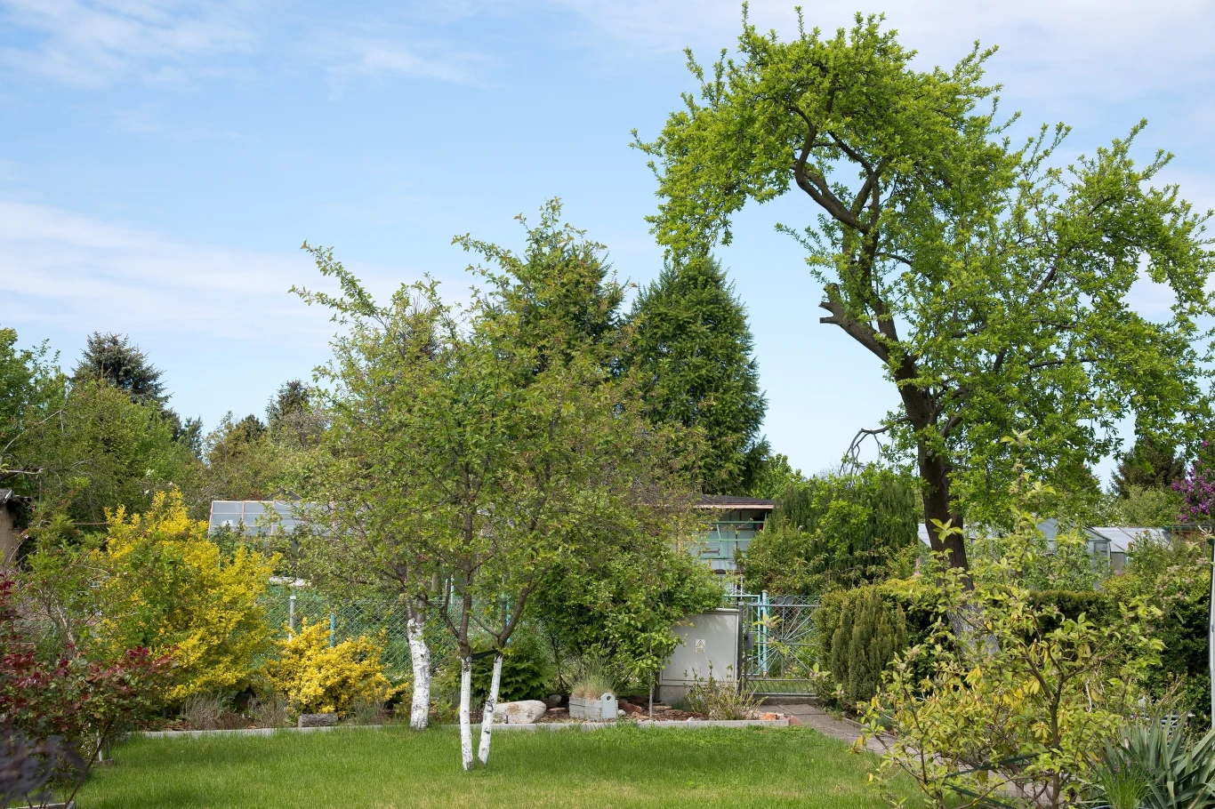 Czy na działce ROD można palić ognisko? Czy na działce ROD można palić ognisko?