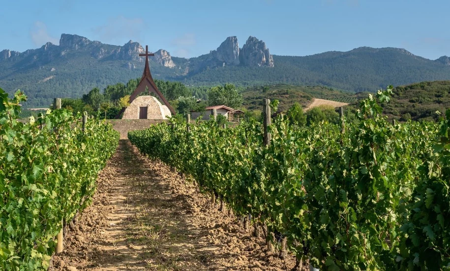 La Rioja Alta, winnica
