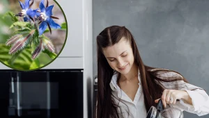 Obniża cholesterol i przyspiesza przemianę materii. Dodaj do sałatki lub zaparz