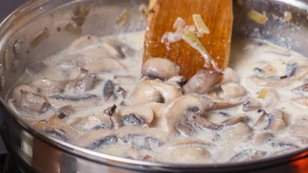 Sos grzybowy możesz przygotować już w lipcu. Z tych grzybów wyjdzie naprawdę smaczny