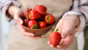 Truskawki będą świeże nawet przez tydzień. Tak zapobiegniesz szybkiemu psuciu się owoców