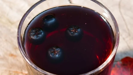 Jak przygotować domowy sok z owoców aronii?