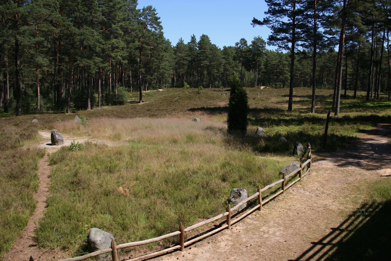 Cmentarzysko Gotów w Odrach Cmentarzysko Gotów w Odrach