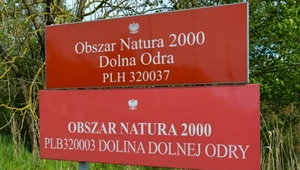 Park Narodowy Doliny Dolnej Odry ma powstać już niedługo