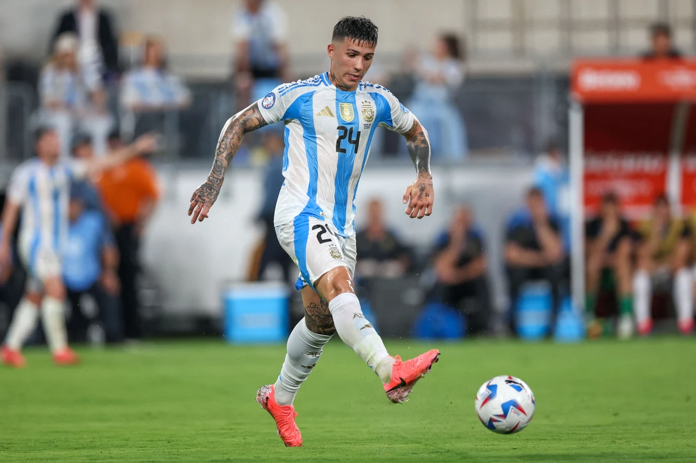 Enzo Fernandez Enzo Fernandez