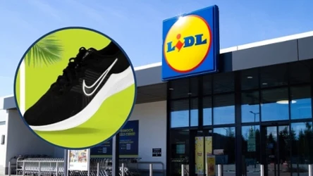 Buty Nike w niskiej cenie w Lidlu!