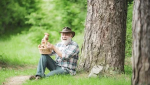 Gdzie na grzyby w lipcu i sierpniu? W tych miejscach w Małopolsce zbierzesz pełne kosze