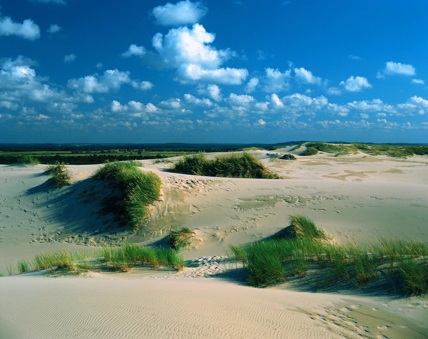 Słowiński Park Narodowy warto odwiedzić wiosną. Słowiński Park Narodowy warto odwiedzić wiosną.