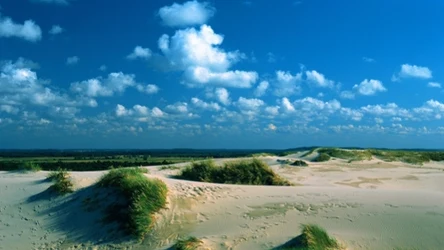 Słowiński Park Narodowy warto odwiedzić wiosną. 