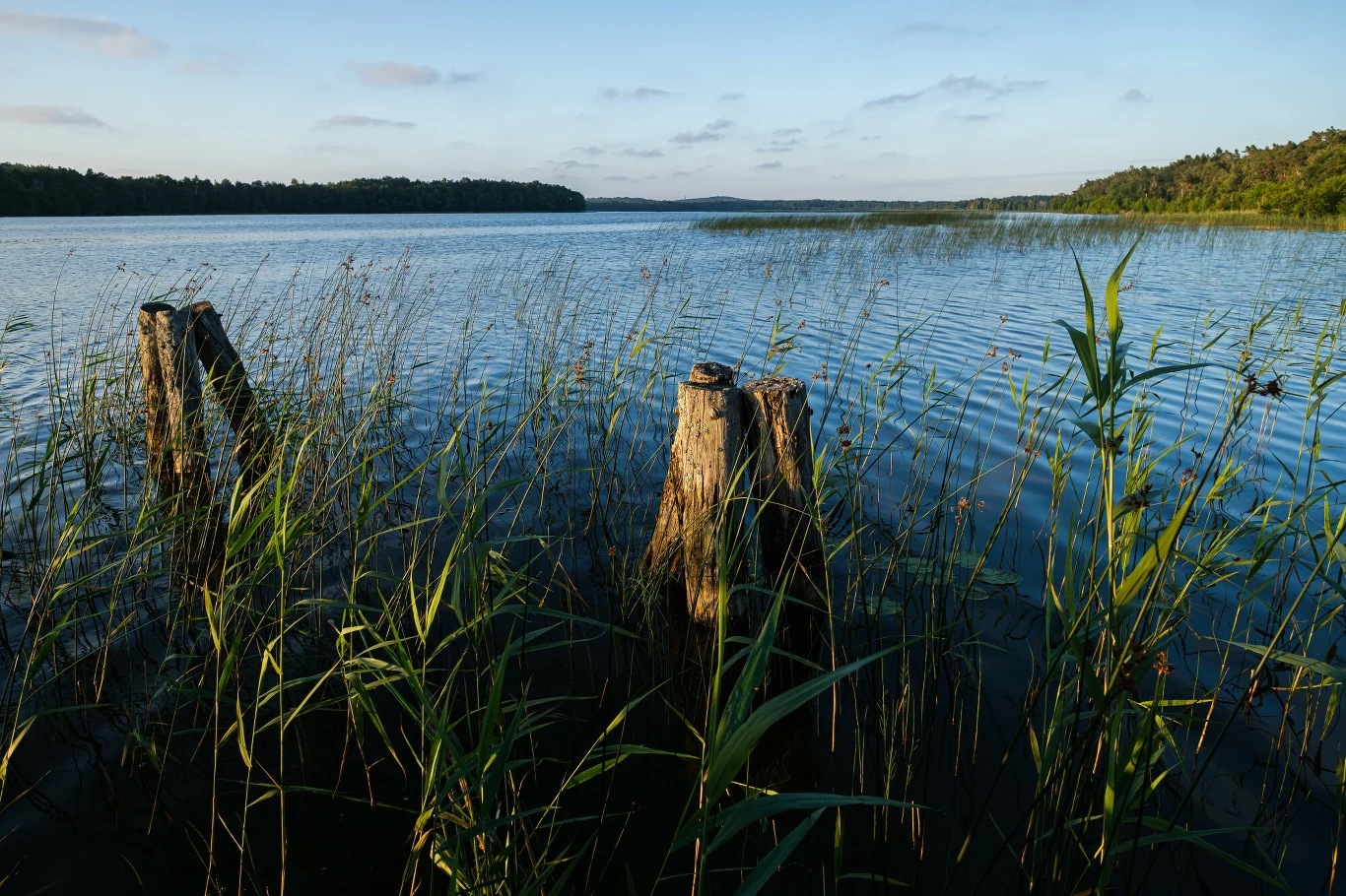Jezioro Gardno w Słowińskim Parku Narodowym Jezioro Gardno w Słowińskim Parku Narodowym