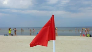 Co oznacza czerwona flaga na plaży? Ważne kolory flag nad Bałtykiem