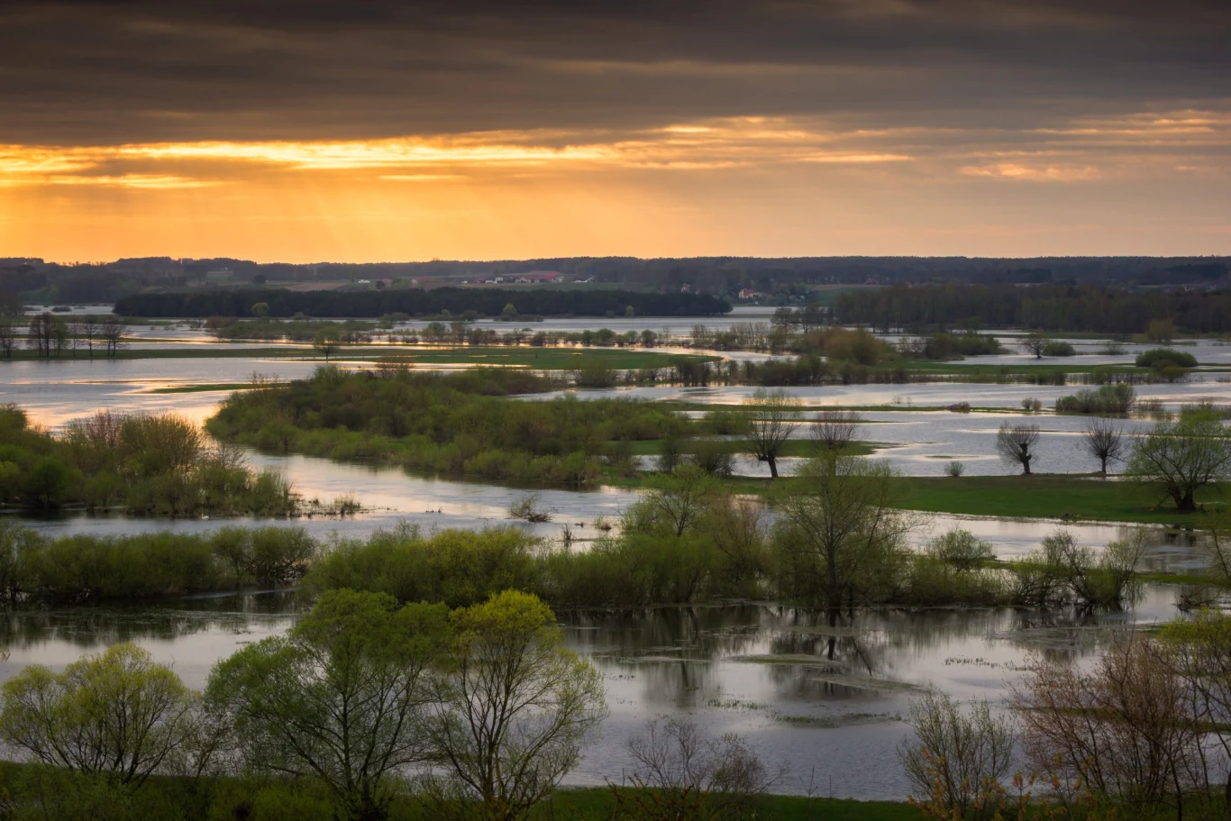 Krajobraz nad Narwią jest bardzo dynamiczny. Wiele zależy tu od pory roku i poziomu wody w rzece