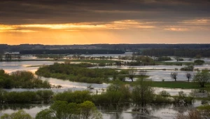 Narew tworzy charakterystyczne rozlewiska